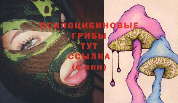 прущие крисы Баксан