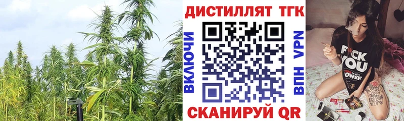 ТГК THC oil купить наркотики сайты Киров